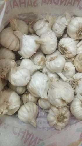 Wholesale Price Dried Garlic