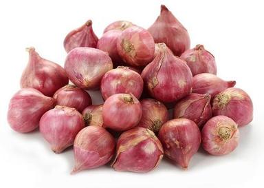 Round & Oval Good Purity Healthy Natural Taste Fresh Shallot Red Onion