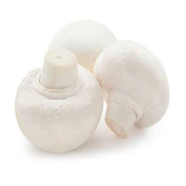 Common No Artificial Flavour No Preservatives Natural Taste White Fresh Button Mushroom
