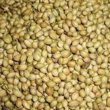 No Artificial Color Added Pure Rich Taste Organic Dried Green Coriander Seeds Packed In Plastic Packet Grade: Food Grade