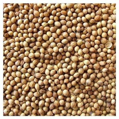 Brown Organic Coriander Seed For Food Grade