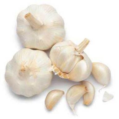 Rich In Taste Natural Healthy White Organic Fresh Garlic