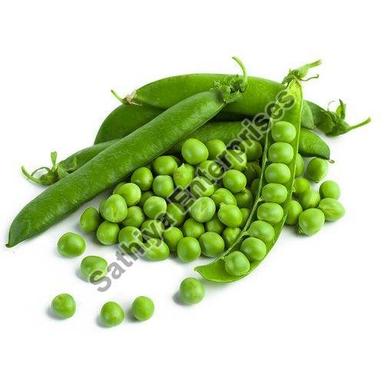 Good Natural Taste Healthy Organic Fresh Green Peas With Pack Size 10-20Kg Shelf Life: 10 Days