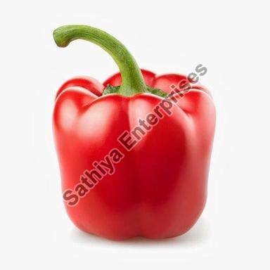 Good Quality Healthy Natural Taste Organic Fresh Red Capsicum Packed In Jute Bag Or Plastic Bag Shelf Life: 1-3 Days