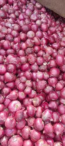 Round Natural Fresh Pink,Red Onion With A Grade