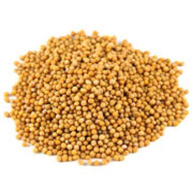 Fine Rich Natural Taste Dried Healthy Mustard Seeds Grade: Food Grade