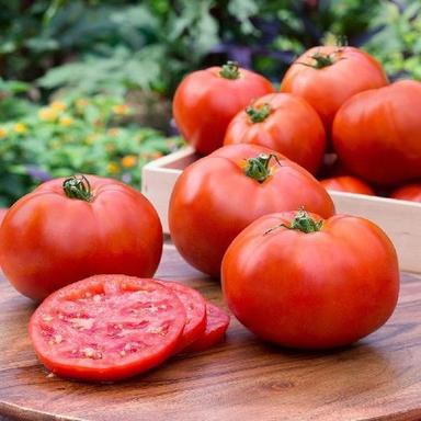 Round & Oval Maturity 90 To 95 Percent Pesticide Free Rich Natural Taste Healthy Red Fresh Tomato