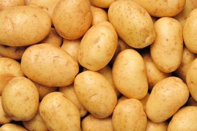 Round & Oval Mild Flavor Good In Taste Healthy Golden Fresh Potato
