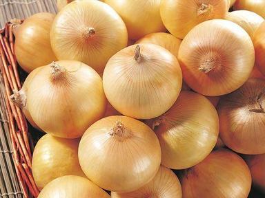 Round & Oval Vitamin B6 10% No Preservatives Natural Taste Healthy Organic Fresh Yellow Onion