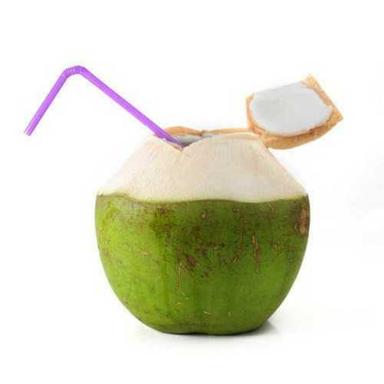 Full-Husked Organic Pesticides Free Fresh Green Water Coconuts 