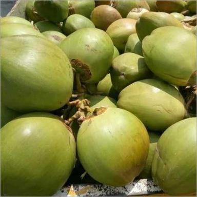  प्राकृतिक और स्वादिष्ट ऊर्जा पेय के लिए हरा ताज़ा कोमल नारियल 
