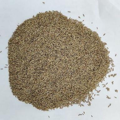 Grebes Spices Sun Dried Cumin Seeds 1Kg, 25Kg, 30Kg, 50Kg For Cooking Admixture (%): 1-2