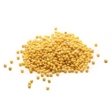 No Added Preservatives Yellow Organic Mustard Seeds With Pack Size 100Gm Or 200Gm Shelf Life: 1 Years