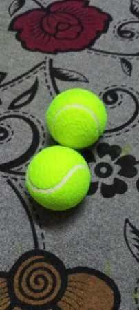 Washable High Jump Green Natural Rubber Cricket Tennis Ball For Beginner Training