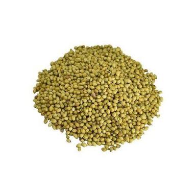 Moisture 4% Pure Natural Rich Taste Healthy Dried Coriander Seeds Shelf Life: 1 Years