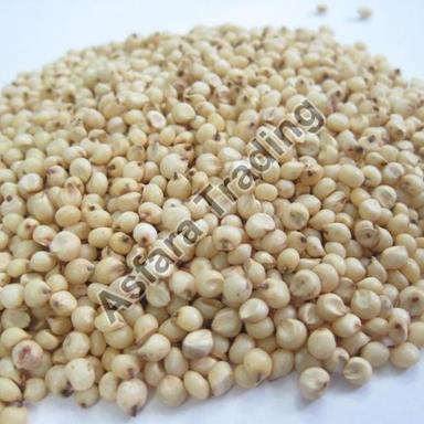 Brown Crude Fibre 2% Rich Natural Taste Healthy Dried Sorghum Seeds