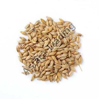 Iso Certified High In Protein Dried Organic Brown Barley Seeds