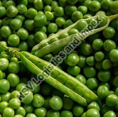 No Pesticides Fssai Certified Natural Taste Organic Fresh Green Peas Shelf Life: 10 Days