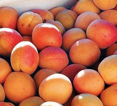 Natural Fresh Apricot, High In Vitamin A