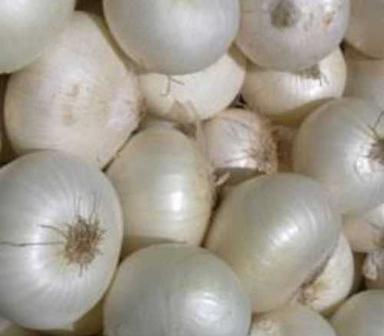 A Grade 100% Pure And Natural Fresh Organic White Onion Shelf Life: 6 Months