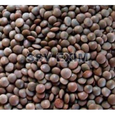 Rich In Protein Healthy Dried Red Organic Whole Masoor Dal Grain Size: Standard