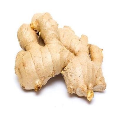 Elongated Natural Good Taste Healthy Organic Brown Fresh Ginger