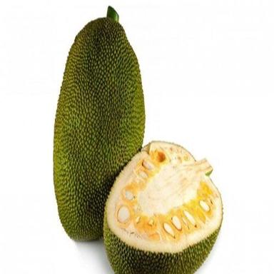 Nutritious Healthy Rich In Taste Organic Green Fresh Jackfruit Shelf Life: 1 Week