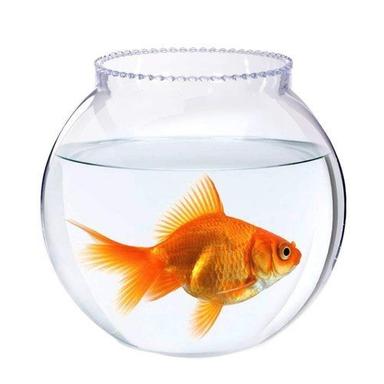 Durable And Strong Round Shape Transparent 4 To 16 Inch Glass Bowl Aquarium