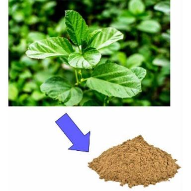 Herbal Product Organic Anti Dandruff Psoralea Corylifolia (Bakuchi )Seed Extract Dry Powder
