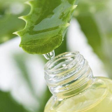 Organic Antioxidant Aloe Vera Plant Root Extract Dry Powder For Skin Health Purity(%): 99%