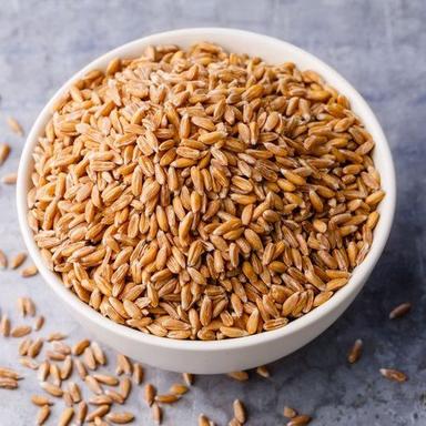 B Grade Milling Wheat