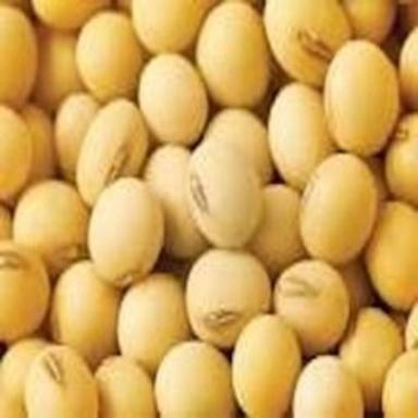 Fine Natural Taste Healthy Organic Dried Soybean Seeds Shelf Life: 6 Months