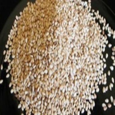 Common Purity 98 Percent Healthy Natural Rich Taste Dried White Sesame Seed
