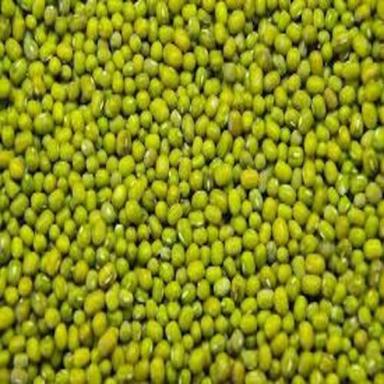 प्रोटीन से भरपूर प्राकृतिक स्वाद साबुत सूखे ऑर्गेनिक ग्रीन मूंग बीन्स अनाज का आकार: मानक 