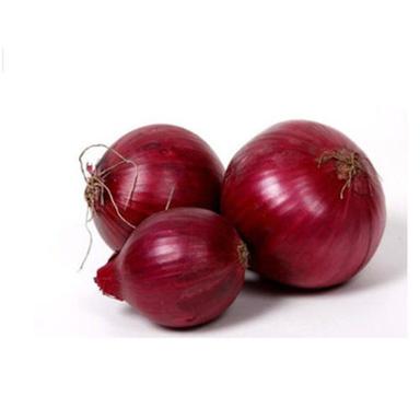 Round & Oval Maturity 100 Percent Enhance The Flavor Rich Healthy Natural Taste Red Fresh Onion