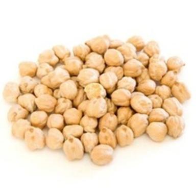 Common Healthy Natural Taste Rich Protein Dried White Chickpeas