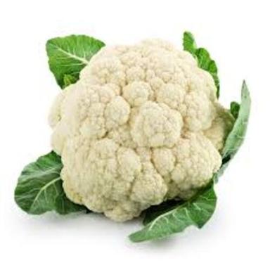 Rich Natural Taste Healthy Organic White and Green Fresh Cauliflower