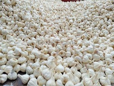 A Grade Pure Hygienically Cultivated Rich Fresh Raw Garlic For Cooking Moisture (%): 55%
