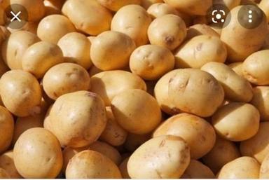 Fresh And Organic Potatoes Rich In Carbohydrates And Fats Preserving Compound: Dry Place