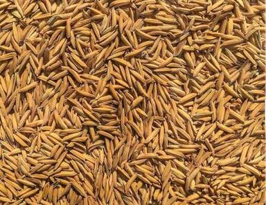 Dried Long Grains Brown Natural And Organic Paddy Rice 