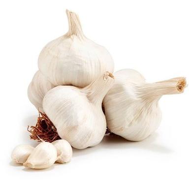 Rich Natural Fine Taste Healthy Organic White Fresh Garlic Shelf Life: 7-8 Months