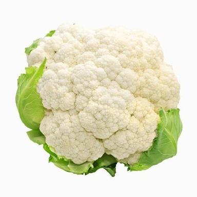Available In Different Color Calcium 2 Percent Rich Natural Taste Healthy Organic White And Green Fresh Cauliflower