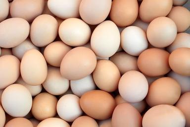 Healthy And Nutritious Brown Eggs Bakery Use, Human Consumption Egg Origin: Chicken