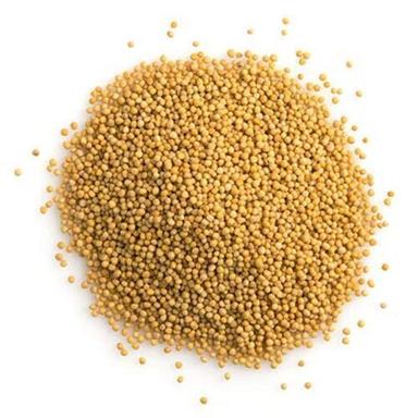 Potassium 21 Percent Fine Healthy Natural Taste Died Yellow Mustard Seeds Shelf Life: 6 Months