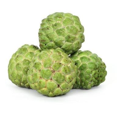 Common Green Color Custard Apple (Cherimoya) With Cone Shaped, Leathery Skin And Sweet Creamy Flesh