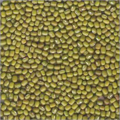 Natural Taste Rich Protein Dried Organic Green Moong Beans Grain Size: Standard