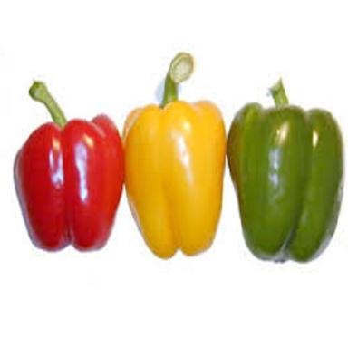Dried Form Fresh Red, Yellow And Green Capsicum For Cooking Moisture (%): 82.87%