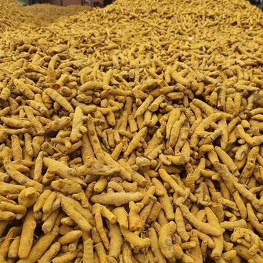 Solid Whole Spice Rich Natural Taste Organic Dried Yellow Turmeric Finger