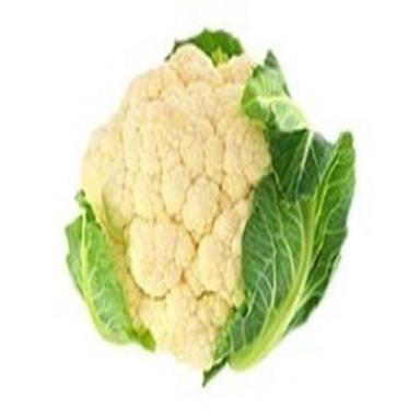 Rich Natural Taste Healthy Organic White Fresh Cauliflower