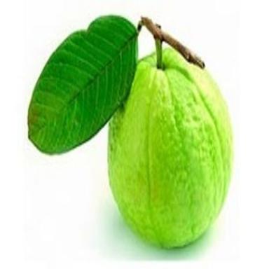 Green Sweet Delicious Rich Natural Taste Healthy Organic Fresh Guava